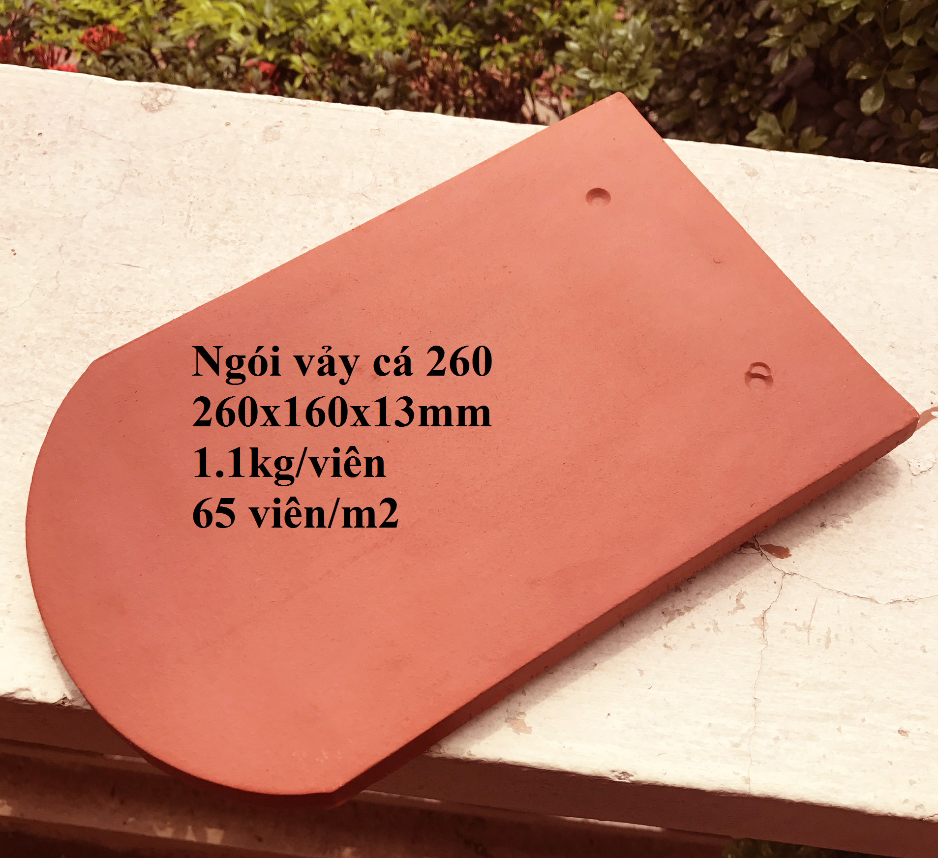 Product image - Extruded Terracotta Floor Tiles, Wall Tiles, Wall Panel
